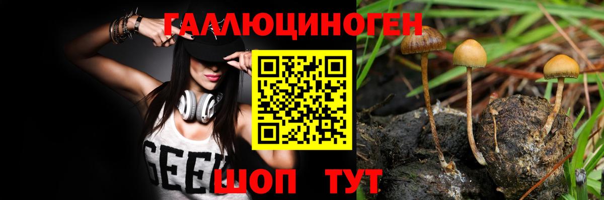 Псилоцибиновые грибы Psilocybe  Вход с VPN  Галлюциногенные грибы Psilocybe  Лениногорск 